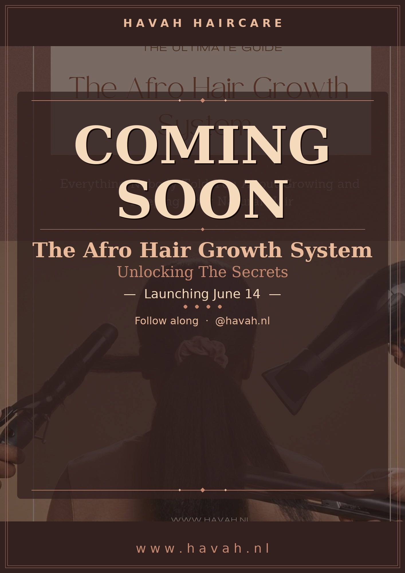 The Afro Hair Growth System: Unlocking The Secrets